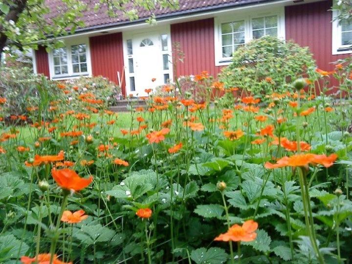 Jen'S B&B Ljungbyhed Exterior foto